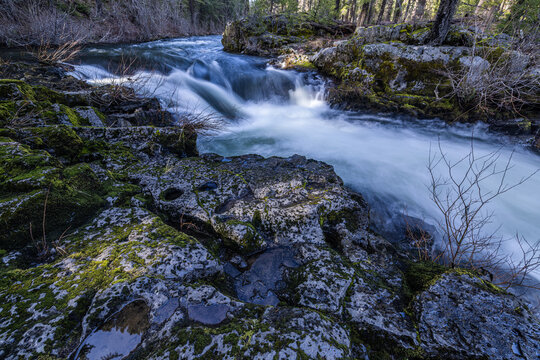 Rogue River above Union Creek, Oregon rushes over jagged stones. Mossy banks glow in golden sunlight. Nature's force moves through rocky terrain.