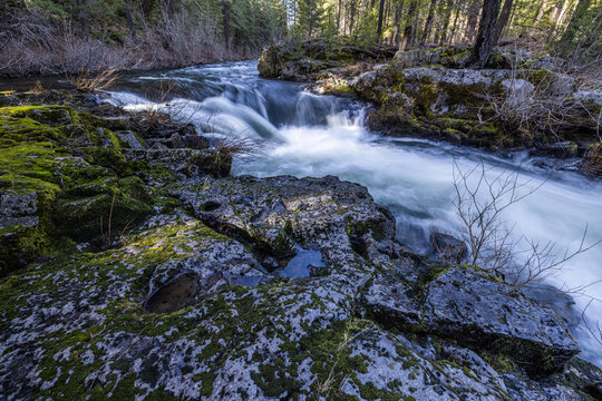 Rogue River above Union Creek, Oregon rushes over jagged stones. Mossy banks glow in golden sunlight. Nature's force moves through rocky terrain.