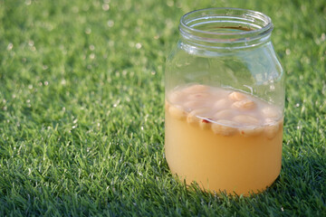 Natural Yeast Water Fermentation with Dried Longan