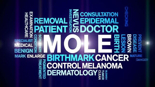 Mole animated word cloud-text design animation tag kinetic typography seamless loop.