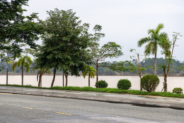Obraz premium Along the Perfume River in Hue, Vietnam, a row of trees and palms line the walkway. The river's muddy waters reflect the overcast sky, creating a tranquil scene.