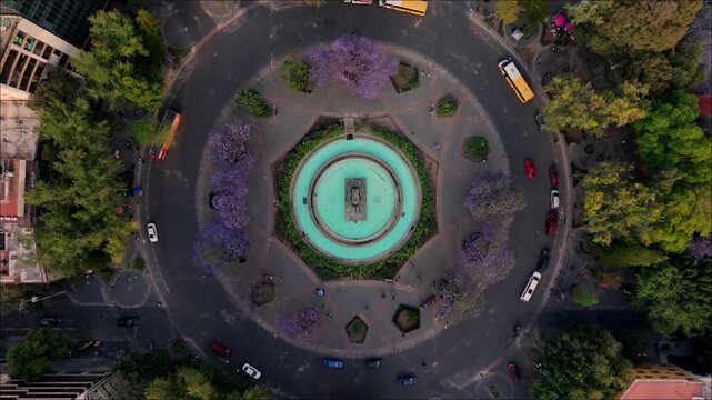 Ciudad de Mexico, glorieta de cibeles con jacarandas, flores moradas en primavera