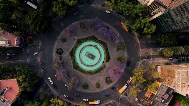 Ciudad de Mexico, glorieta de cibeles con jacarandas, flores moradas en primavera