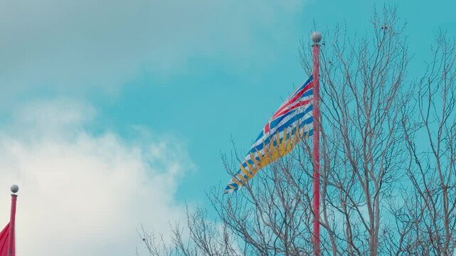 British Columbia flag on pole behind bare winter trees