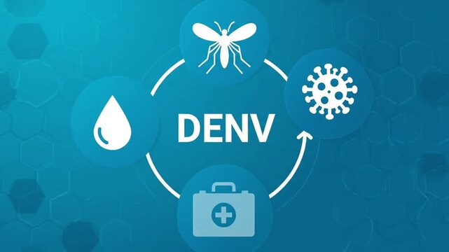 DENV acronym.dengue virus concept.DENV (Dengue Virus) is a mosquito-borne virus causing fever, rash, and joint pain. 4k ,video