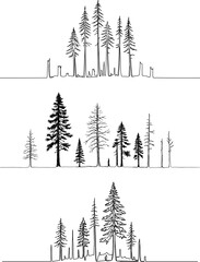 Stroke outline illustration of pine trees in a forest silhouette on a transparent background, minimalist style, black and white, nature scenery