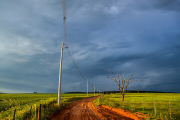 A dirt road with reddish soil characteristic of the Brazilian interior cuts through a rural...
