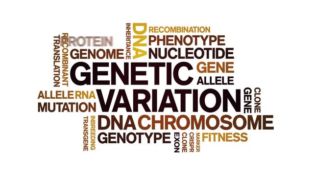 Genetic variation animated word cloud-text design animation tag kinetic typography seamless loop.