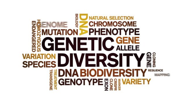 Genetic Diversity animated word cloud-text design animation tag kinetic typography seamless loop.