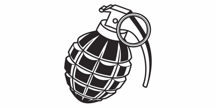 a hand grenade with a pin and safety lever Vector