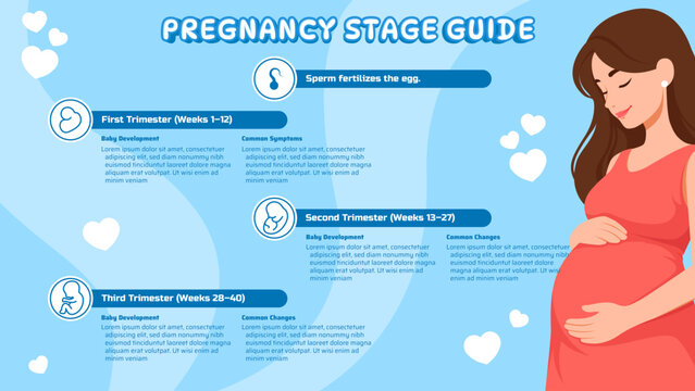 A detailed infographic illustrating the journey of pregnancy, outlining the three distinct trimesters and the significant developmental stages expectant mothers experience from conception to birth