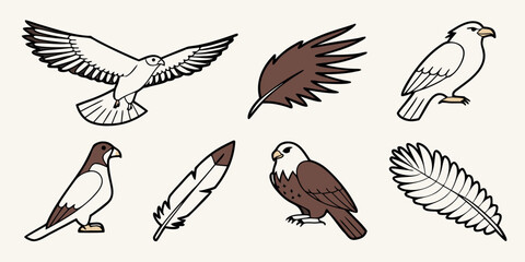 Obraz premium a collection of seven different bird of prey illustrations Vector