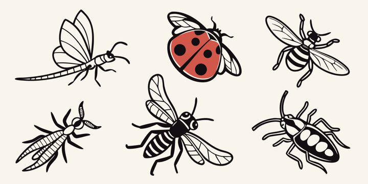 a group of insects including a ladybug and flies Vector