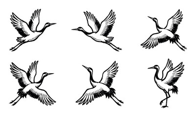 Fototapeta premium Collection of hand-drawn black and white illustrations depicting elegant cranes in various flying and standing poses, showcasing their graceful movements.