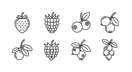 Fototapeta premium Fresh Fruit Line Drawings Collection.