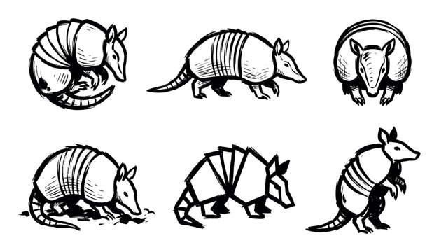 Collection of hand-drawn armadillo illustrations showcases the distinctive armored animal in different poses and artistic interpretations.
