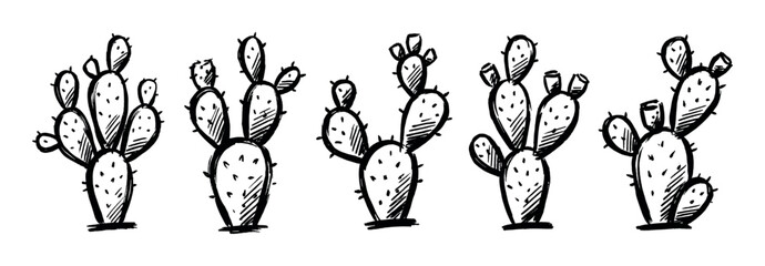 Row of five hand-drawn prickly pear cacti illustrations, showcasing their distinctive paddle-shaped pads and spiky texture in a sketch style.