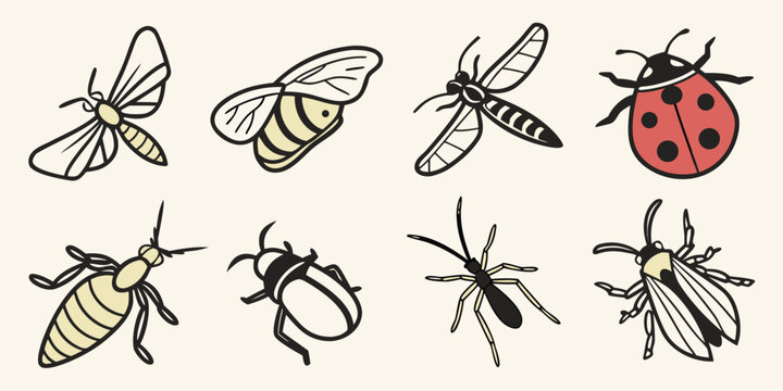 a group of different insects Vector