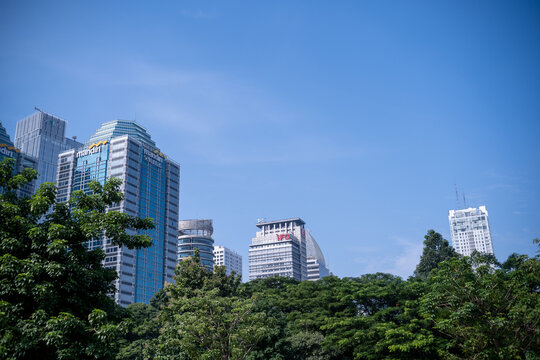 Jakarta, Indonesia &ndash; March 11, 2026: Skyscrapers rise behind the trees of Taman Hutan GBK, showing the coexistence of urban green space and modern development in central Jakarta.