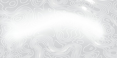 Soft gray relief map pattern with smooth white elevation curves, abstract geographic isolines forming organic landform shapes, minimalist vector background. © MOH