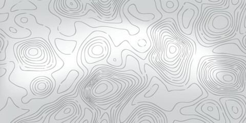 Modern geographic isoline artwork, thin white elevation curves flowing across a soft gray landscape pattern. © MOH