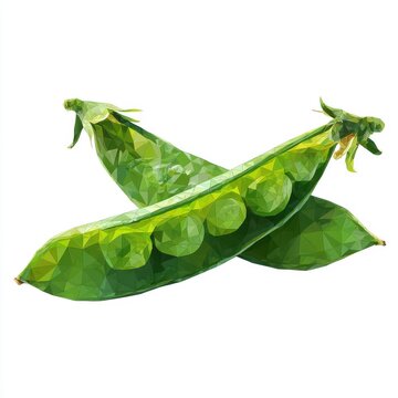 Fresh Green Pea Pods Open Revealing Round Peas Isolated On White Background