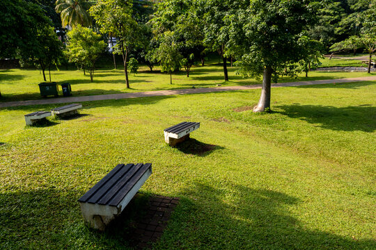Concrete park bench with wooden seating planks in Taman Hutan GBK, Jakarta, set among lush grass and trees in an urban green space