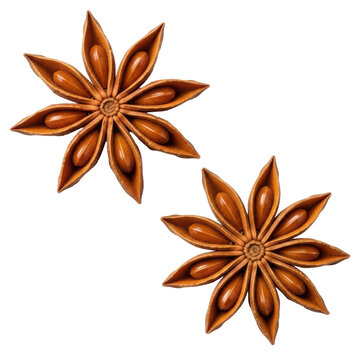 Three dried star anise pods, symmetrical with eight segments and glossy seeds, top-down on a transparent background with ample copy space. Concept of aromatic culinary spice.