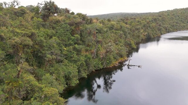 Serene aerial scenes showcasing dense green vegetation along the tranquil waters of Buey Lagoon in Colombia.