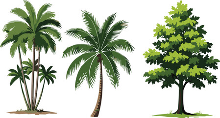 Palm tree illustration set, coconut palm vector, deciduous tree design art, tropical foliage icon, landscape motif, botanical nature symbol graphic