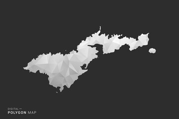 American Samoa Map - Polygon style vector illustration in black, gray and white low poly geometric design, minimal silhouette, isolated for infographic. © Whatever