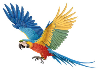 Fototapeta premium Vibrant blue and yellow macaw parrot with a bright beak and colorful feathers perched in a tropical nature setting or wild jungle wildlife habitat,, isolated on a Transparent background
