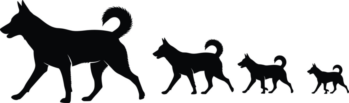Black silhouettes of five dogs of varying sizes walking from left to right canine animal