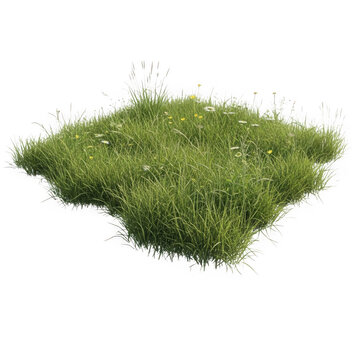 Lush green grass field with natural texture and depth isolated on transparent background