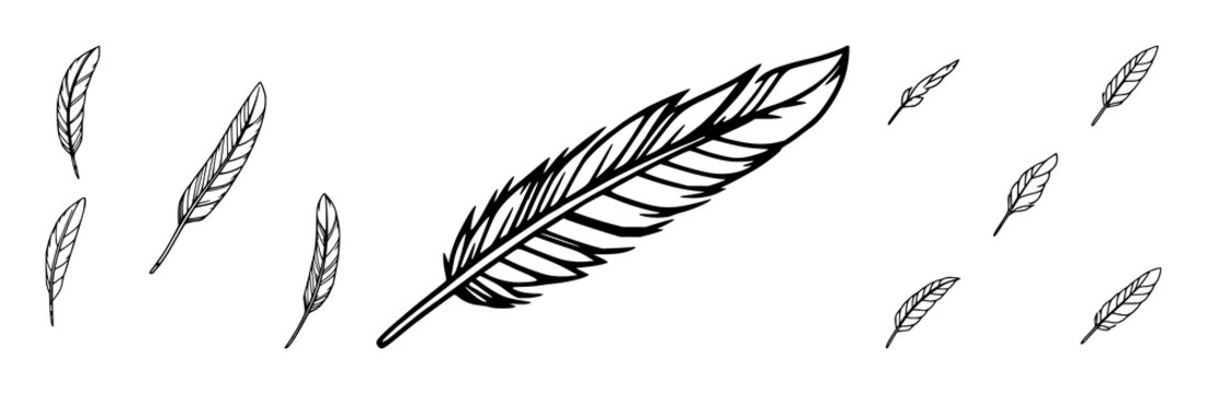 Feather set with stylized feather icons against a white background featuring bold line art, single color, minimalist shapes with logo and vector illustration