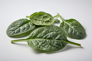 Obraz premium There Three Green Leaves White Surface