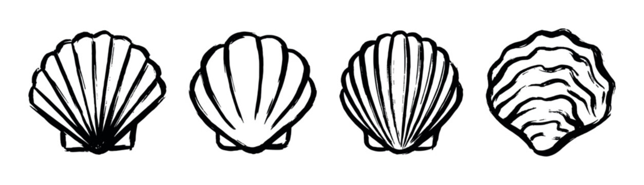 Collection of four unique hand-drawn seashell illustrations with a distinct brush stroke style.