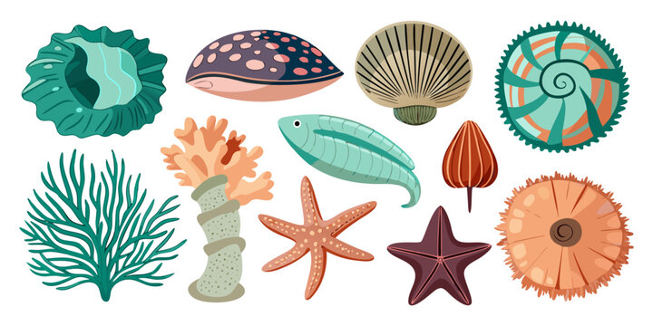 Seamless Vector Pattern of Sea Shells and Sea Creatures with Starfish and Natural Decorative Elements.