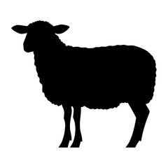 Silhouette of a Sheep Standing Still. © Erik
