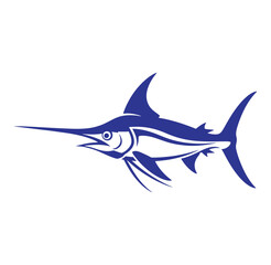 Obraz premium blue marlin fish swimming left side profile isolated on white background