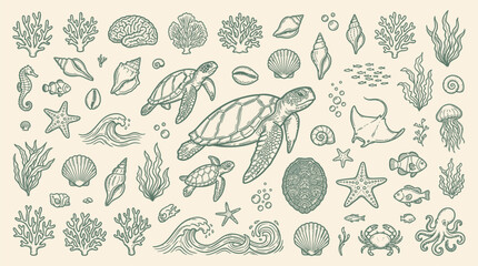A detailed illustration of various marine life and ocean elements, including sea turtles, coral, shells, and waves, presented in a vintage, hand-drawn style. © KN collection
