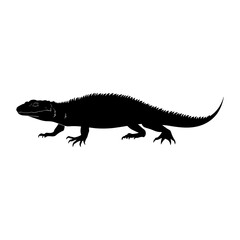 Fototapeta premium Silhouette of a spiny-tailed lizard walking on a white background.