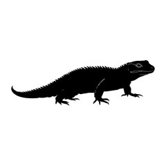 Fototapeta premium Silhouette of a spiny lizard on a white background.