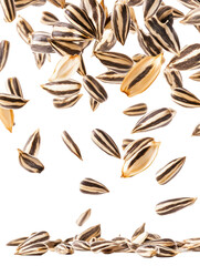 Sunflower seeds flying in the air on transparent background