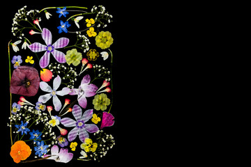 Botaniczny kolaż z prasowanych dzikich kwiatów na czarnym tle z miejscem na tekst © Elżbieta Kaps