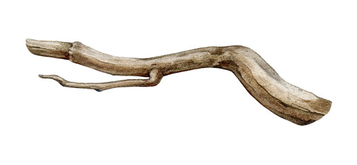 Obraz premium Tree dry branch watercolor illustration. Hand drawn botanical tree stick element. Dry twig natural decoration. Big tree beautiful curved branch element isolated on white background