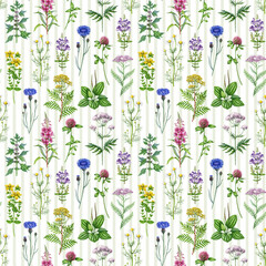 Medicinal herbs and wildflowers seamless pattern. Hand drawn blooming chamomile, yarrow, tansy, plantain, motherwort, valerian wild healing plants watercolor illustration on striped background. © anitapol