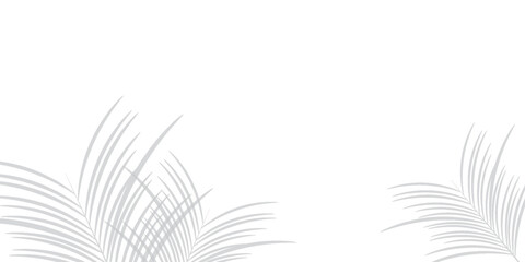 Obraz premium Shadow effects with tropical palm leaves in the corner. Flat lay background with tropical leaf shadow. Applicable for mockup, template background.