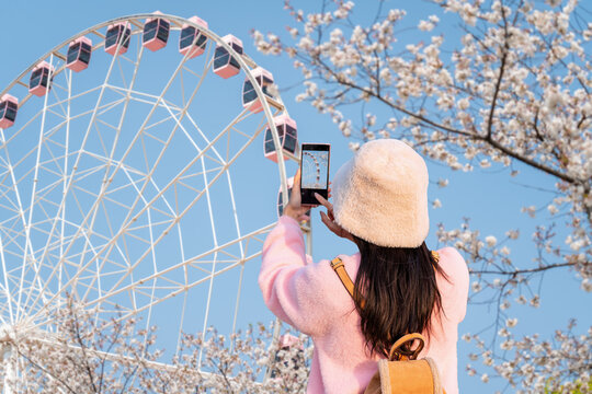 Young woman tourist taking photos of the ferris wheel with sakura cherry blossom blooming festival on a clear spring day