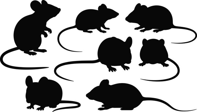 Mouse silhouettes collection isolated on white background small mouse poses vector set rodent animal illustration for logo design stencil
